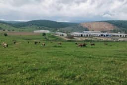 Obnovljena Farma krava Romanija oživljava stočarstvo ovog kraja