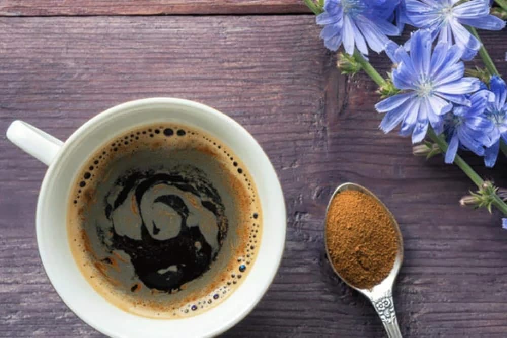 kafa od cikorije
