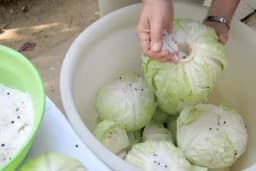 Kiseli kupus - Priprema i pravilan način spremanja!