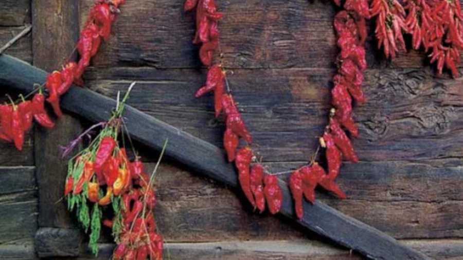 Ljuta papričica