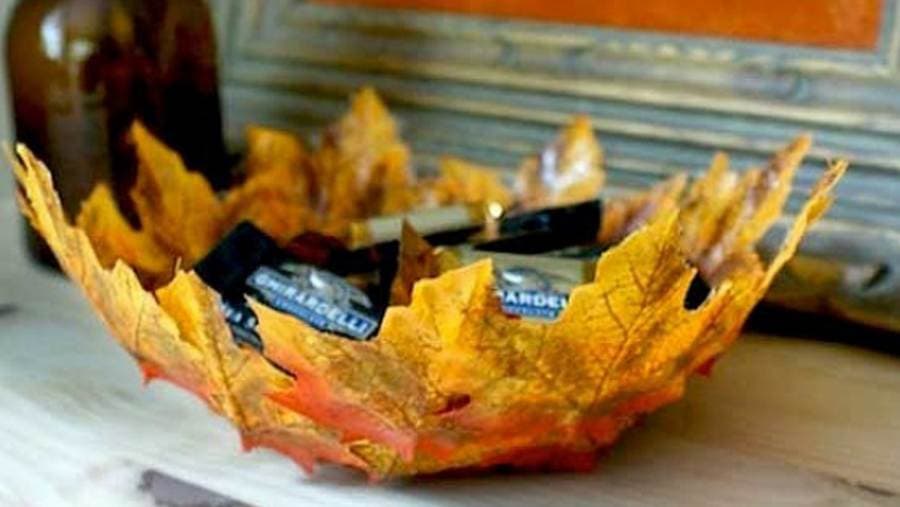 Posuda od jesenjeg lišća