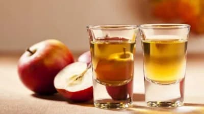 Rakija od jabuke – Tehnologija proizvodnje i savjeti