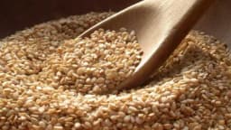 Ljekovitost susama i susamovog ulja