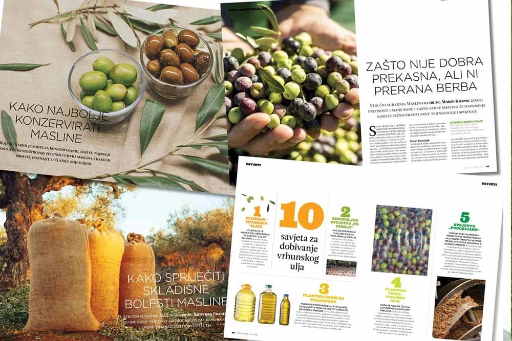 Stigao je novi broj časopisa Maslinar!