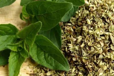 Ovo je najzdraviji čaj na svijetu: Sprječava sve od obične prehlade do kancera! (RECEPT)