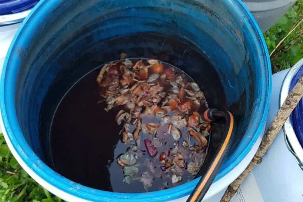 Tretirajte voće prije opadanja lišća prirodnim preparatima od luka, koprive, sode i kreča!