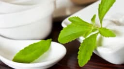 BILJKA STEVIJA – ZDRAVA ZAMJENA ZA ŠEĆER