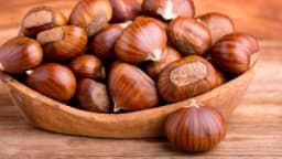 Ukoliko ste često umorni kesten je pravi izbor za vas!