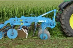 Zelenišno đubrenje u organskoj proizvodnji