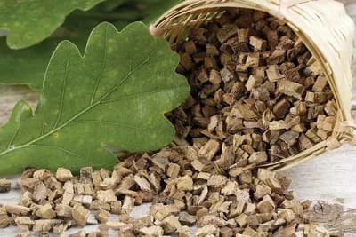 Čaj od hrastove kore pomaže kod raznih tegoba