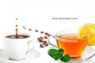 Da li je čaj zdraviji napitak od kafe