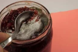 Možete li jesti džem ako se u tegli nađe plijesan/buđ