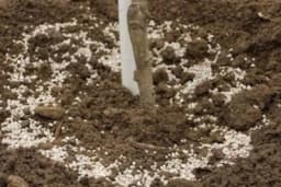 Dva OSNOVNA elementa za ĐUBRENJE voćaka u JESEN