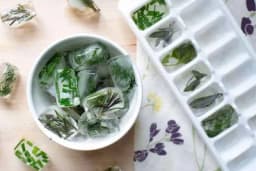 Zamrzavanje ljekovitih biljaka: zašto bi trebalo da probate ovu metodu