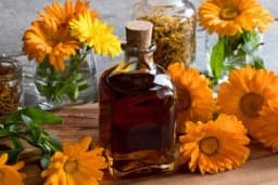 Kako napraviti NEVENOVO ULJE i za šta je dobro /RECEPT/