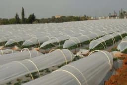 Gajenje povrća u niskim tunelima – Biljke su zaštićene i razvijaju se brže