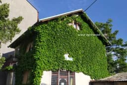 U 7 koraka do vertikalnog vrta