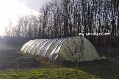 Zašto je važno uređivanje prostora oko plastenika