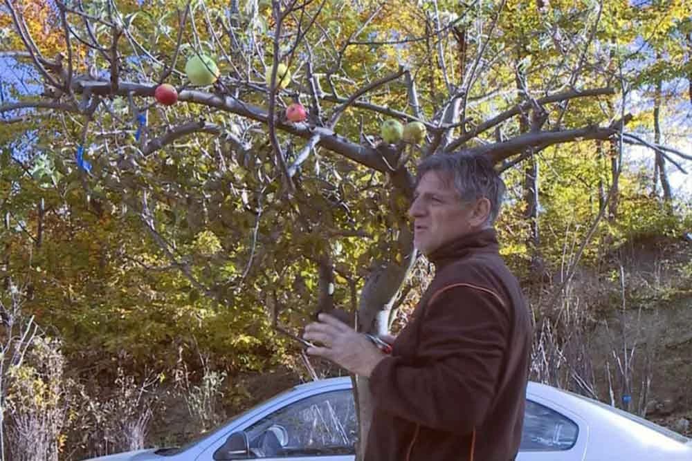 Šaptač voćkama čuva autohtone vrste voća