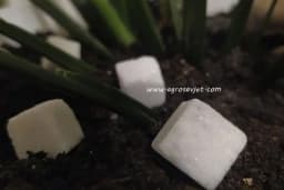 Pet problema u kući koje može riješiti šećer