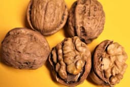 Pieral Lara - Sorta oraha koja obećava visoke prinose i krupne plodove