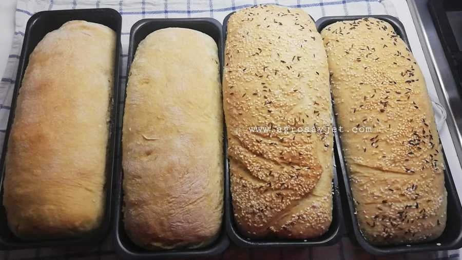 Domaći hljeb