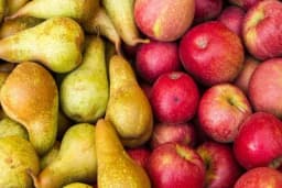 Bolesti jabuke i kruške u skladištu