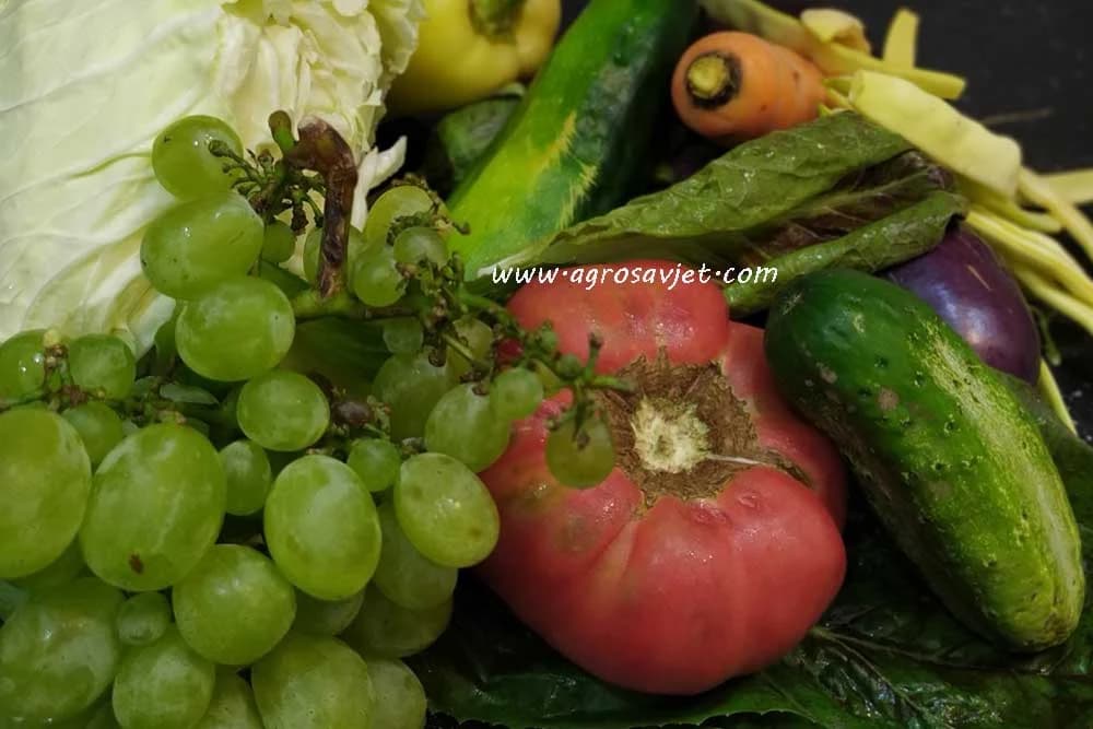 Kako da prepoznamo organski proizvod u marketu?