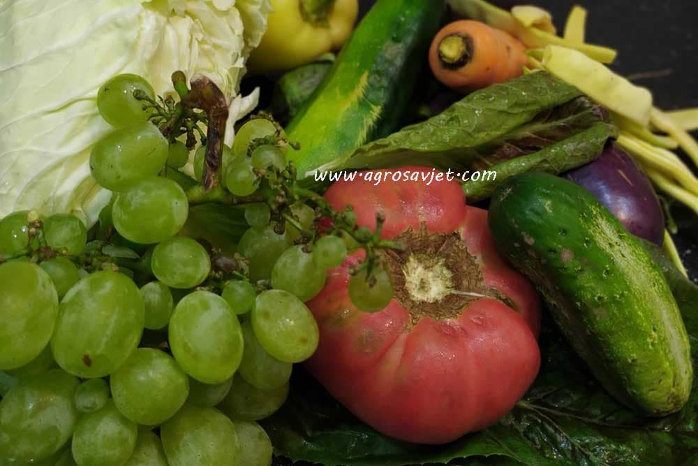 Kako da prepoznamo organski proizvod u marketu?