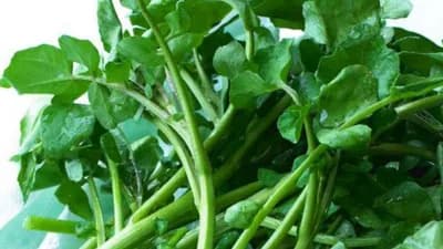 Ova biljka sadrži više gvožđa nego spanać i više vitamina C od nekih agruma