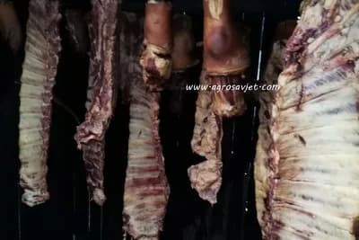 Sušenje mesa i recepti za salamuru