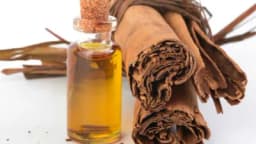 Ulje cimeta - Napravite sami i iskoristite mnoga ljekovita svojstva