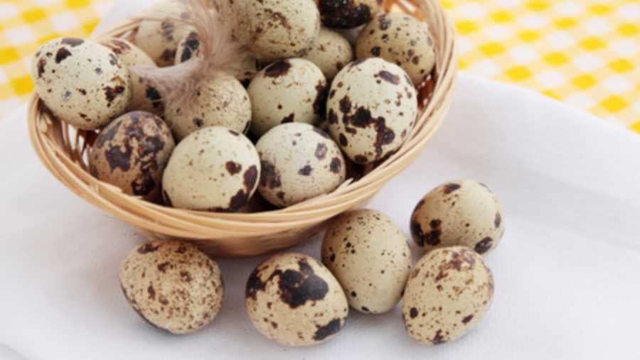 Jaja od prepelice