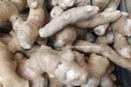 Đumbir nije potrebno guliti