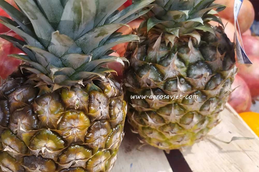 Ananas