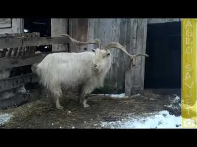 Etno Selo Stanišići