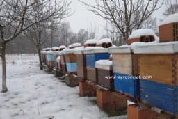 Pravilna ventilacija za dobro prezimljenje pčela