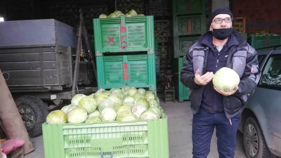 Zimski kupus se nije isplatio Sembercima