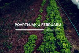 Radovi u povrtnjaku u februaru