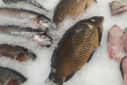 Zašto je mediteranska ishrana najbolja za zaštitu od sunca