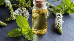 Ulje divlje nane - Koje su njegove prednosti?