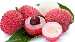 LIČI - Mirisni plod pun vitamina