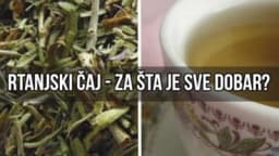 Rtanjski čaj – Ljekovitost, recepti i upotreba