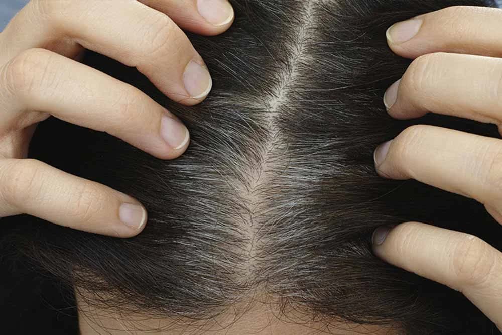 Prirodno bojenje kose