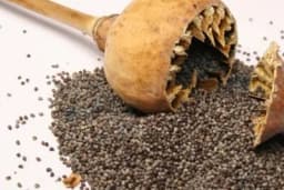 Sigurno niste znali da je MAK baš toliko zdrav - Evo kako ga možete konzumirati