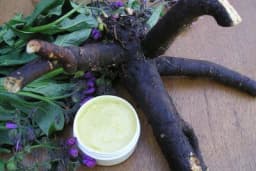 Gavezova mast po recepturi Marije Treben