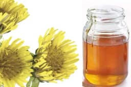 Med od maslačka  - Podiže imunitet u zimskim danima