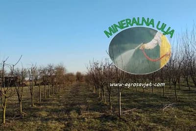 Mineralna ulja - Sada je pravo vrijeme da zaštitite svoje voće