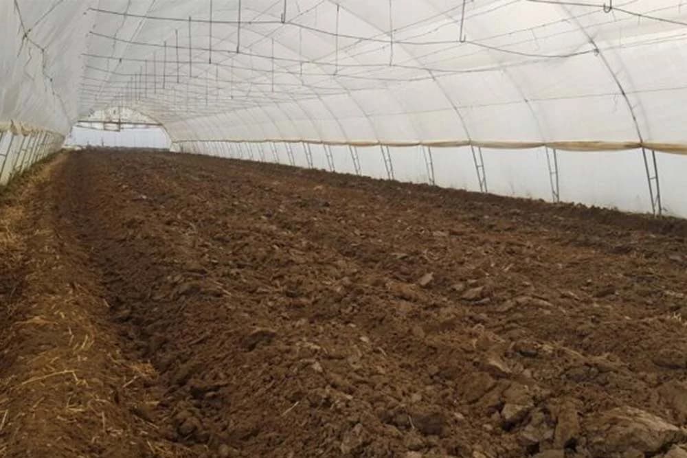 Dezinfekcija zemljišta