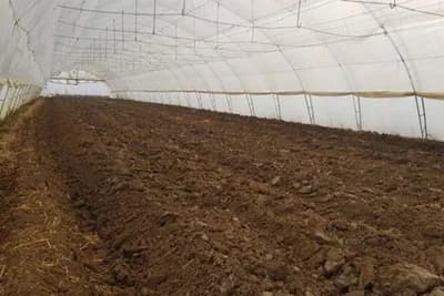 Kakvo je zemljište u zaštićenim prostorima i kako ga održavati